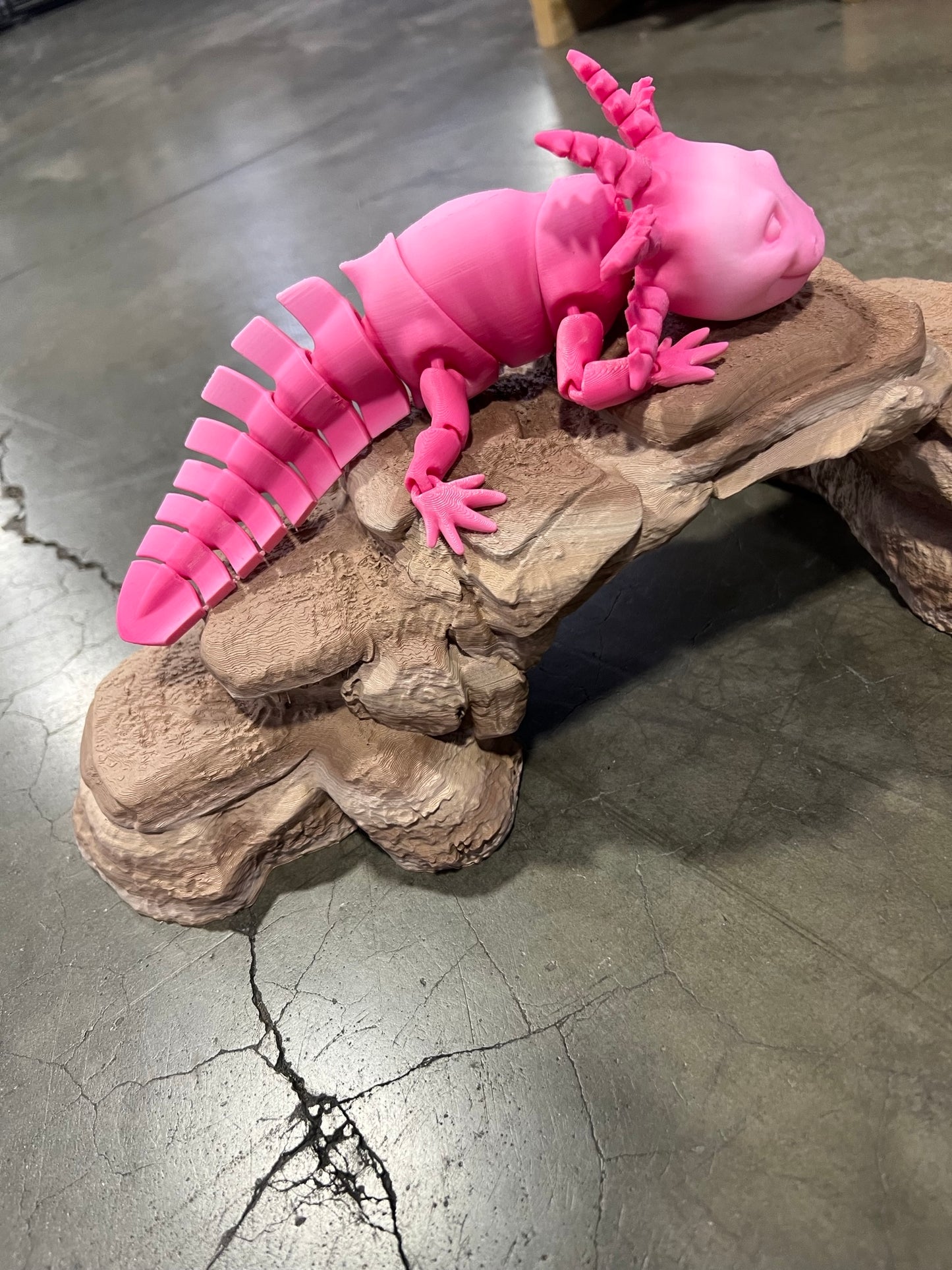 Axolotl 3D Printed Fidget Sensory Toy